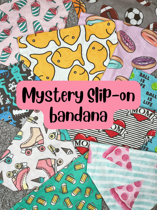 Mystery Slip-on Dog Bandana