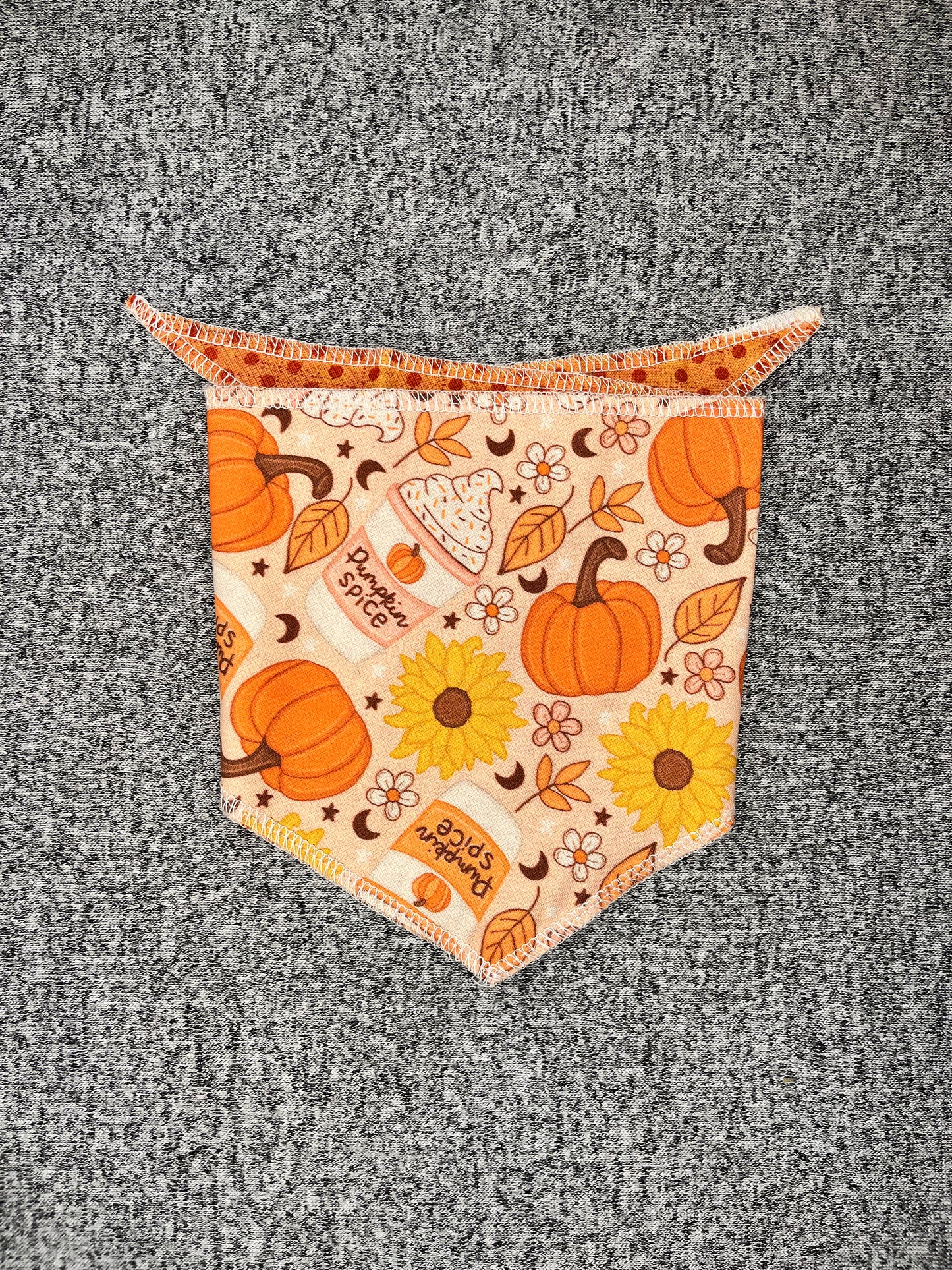 Pumpkin Spice Tie Dog Bandana